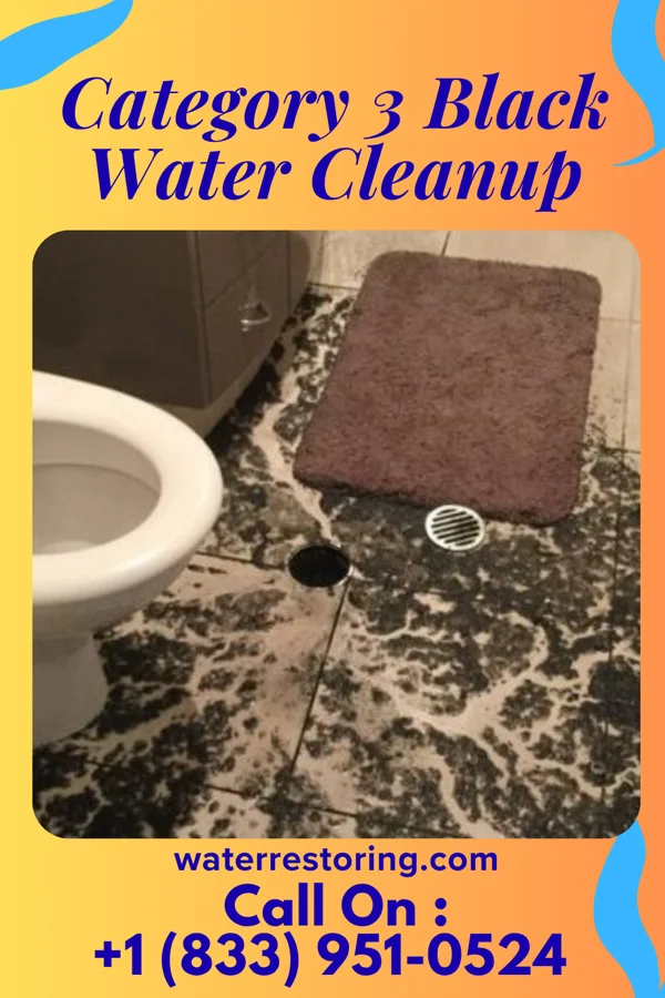 Category 3 Black Water Cleanup in Grand View-on-Hudson, NY