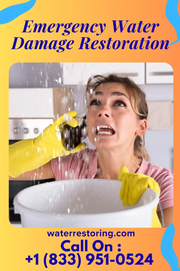 Emergency Water Damage Restoration in Grand View-on-Hudson, NY
