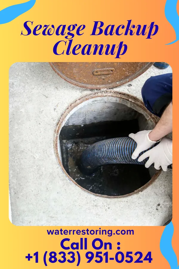 Sewage Backup Cleanup in Grand View-on-Hudson, NY