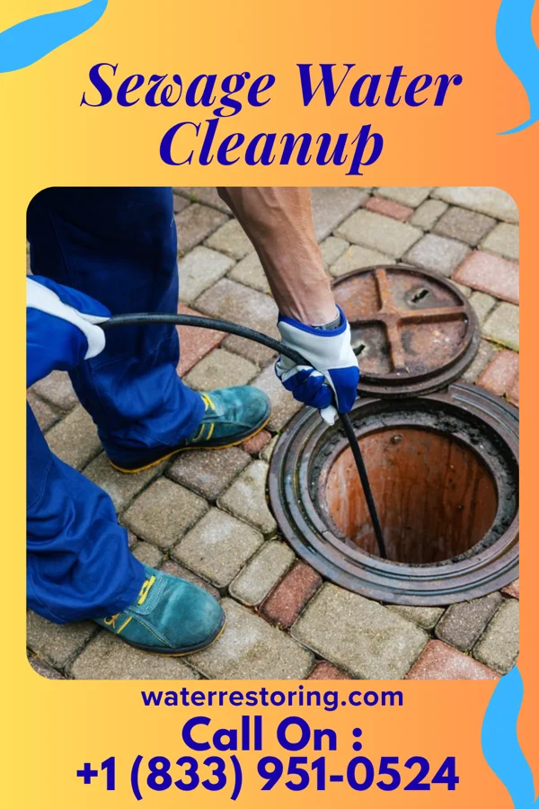 Sewage Water Cleanup in Grand View-on-Hudson, NY